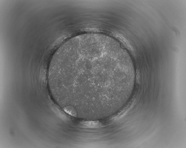 X0000114660449200911171114