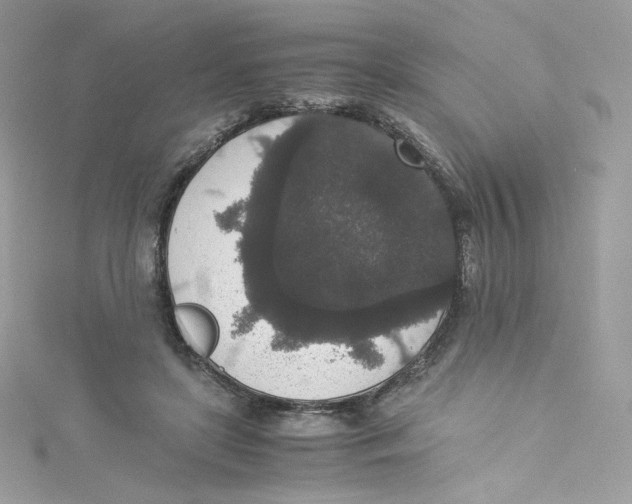 X0000114660451200911171114