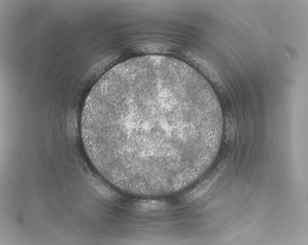 X0000114660453200911171114