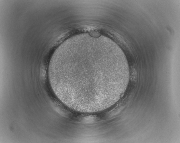 X0000114660456200911171114