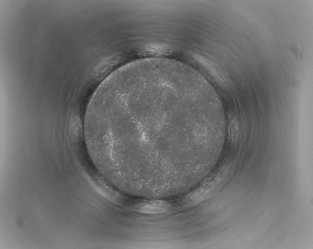 X0000114660459200911171114