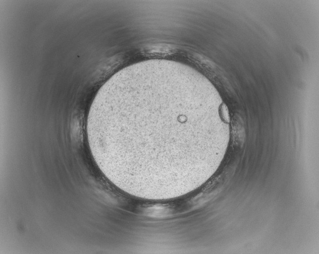 X0000114660460200911171114