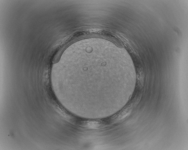 X0000114660462200911171114