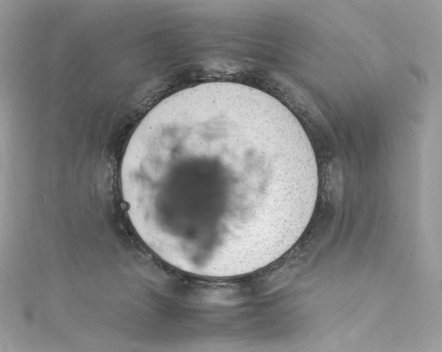 X0000114660463200911171114