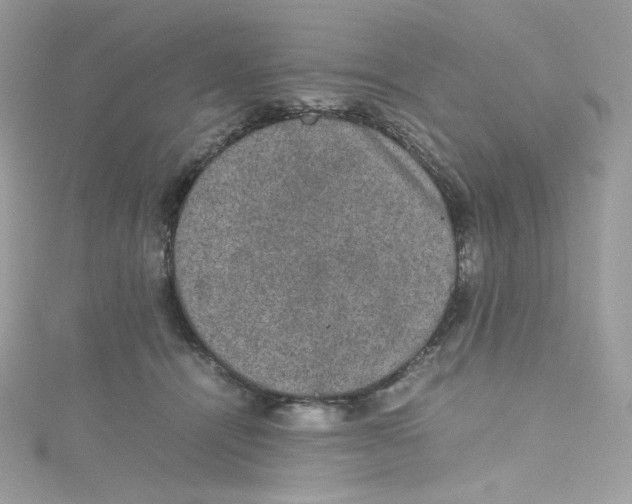 X0000114660464200911171114