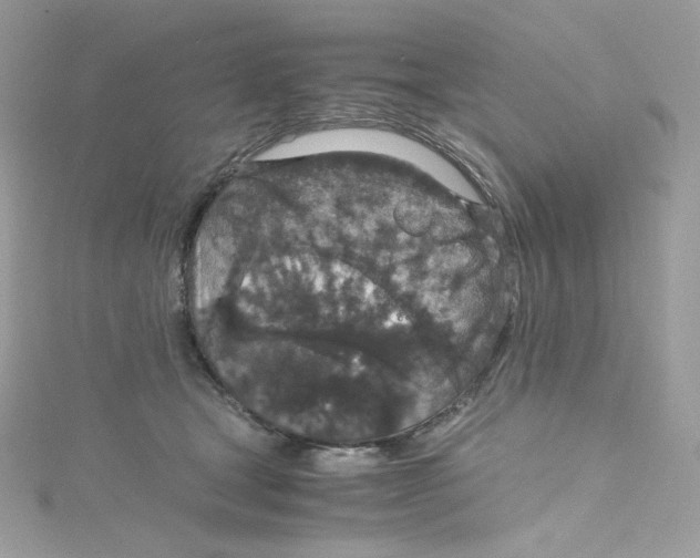 X0000114660465200911171114