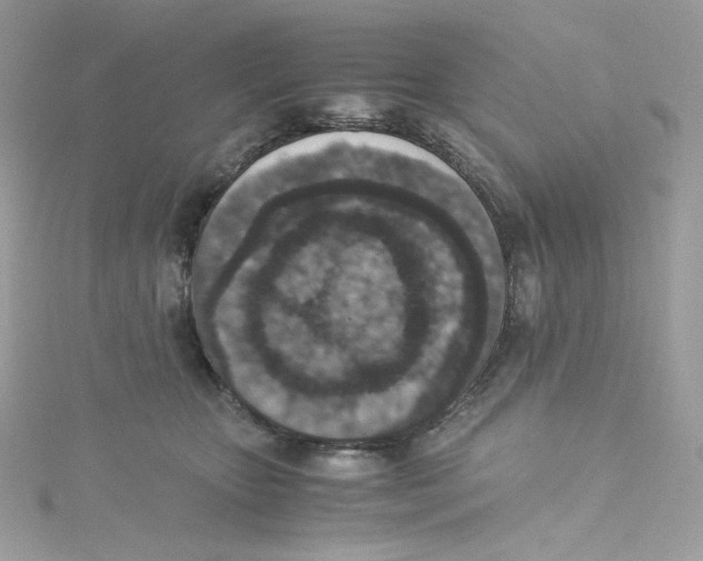 X0000114660467200911171114