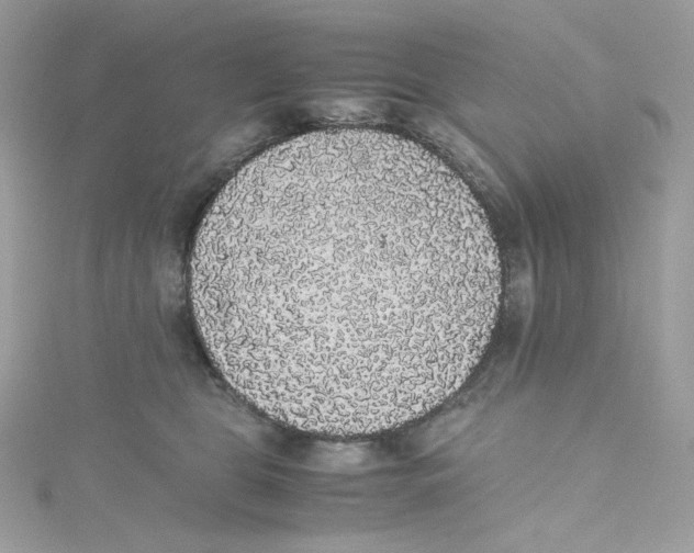 X0000114660469200911171114