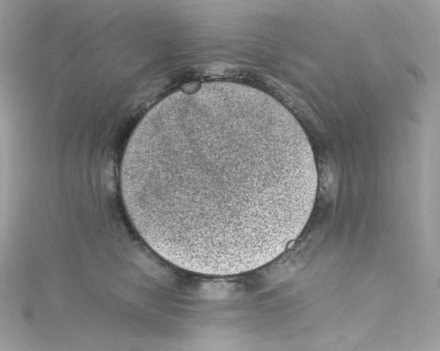 X0000114660470200911171114