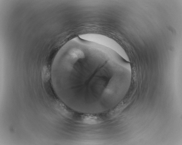 X0000114660471200911171114