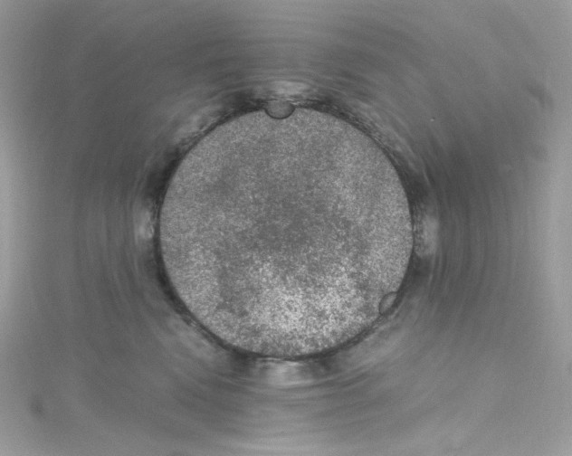 X0000114660472200911171114