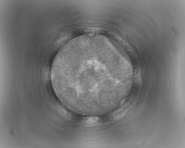 X0000114660474200911171114