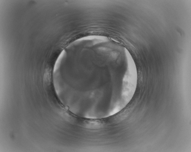 X0000114660475200911171114