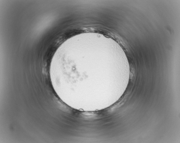 X0000114660477200911171114