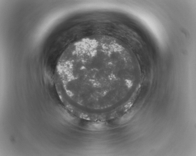 X0000114660479200911171114