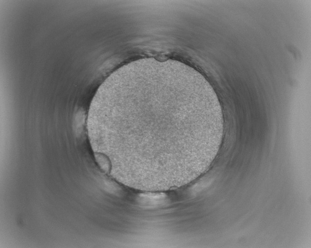 X0000114660480200911171114