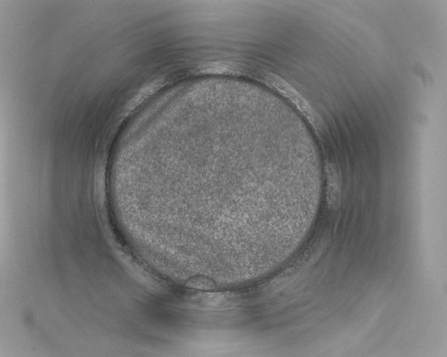 X0000114660482200911171114