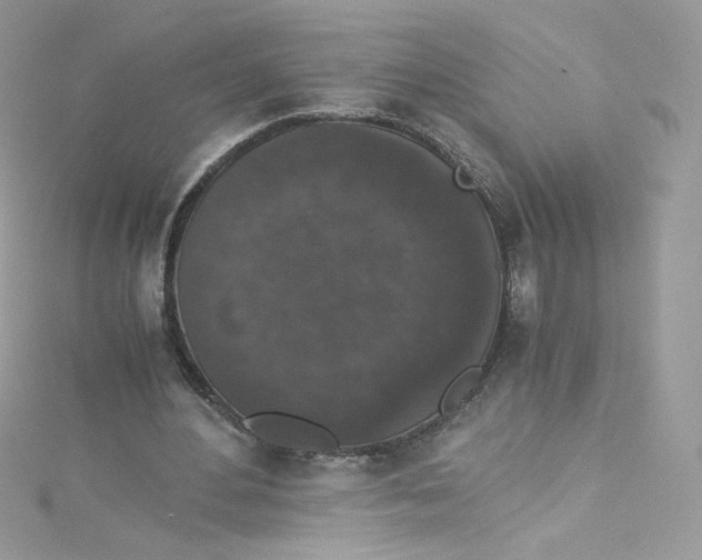 X0000114660484200911171114