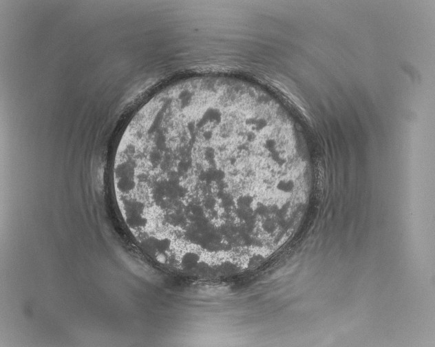 X0000114660491200911171113