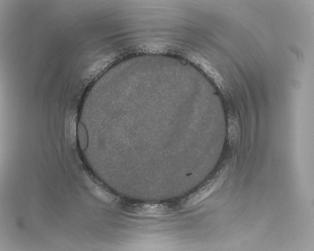 X0000114660493200911171113