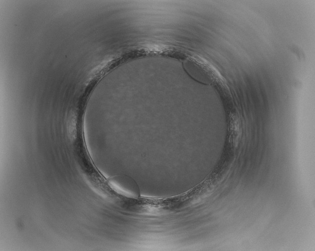 X0000114660496200911171113