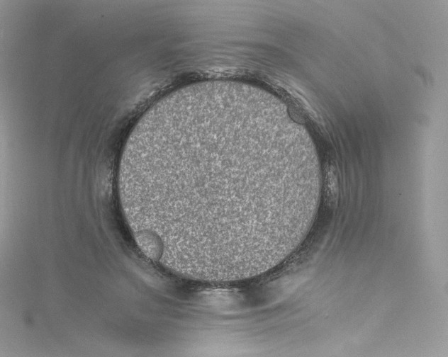 X0000114660499200911171113