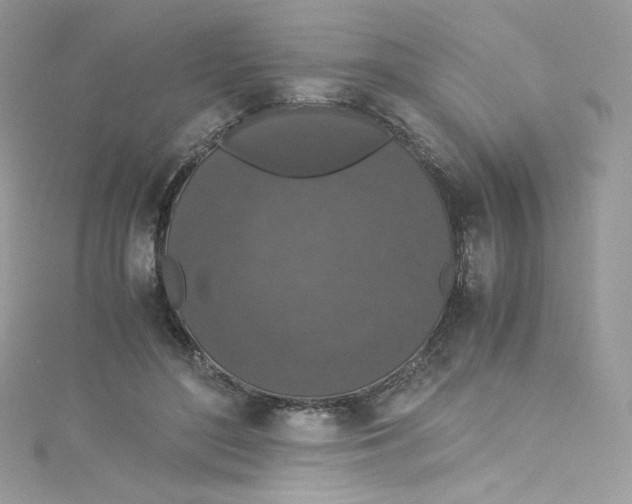 X0000114660500200911171113