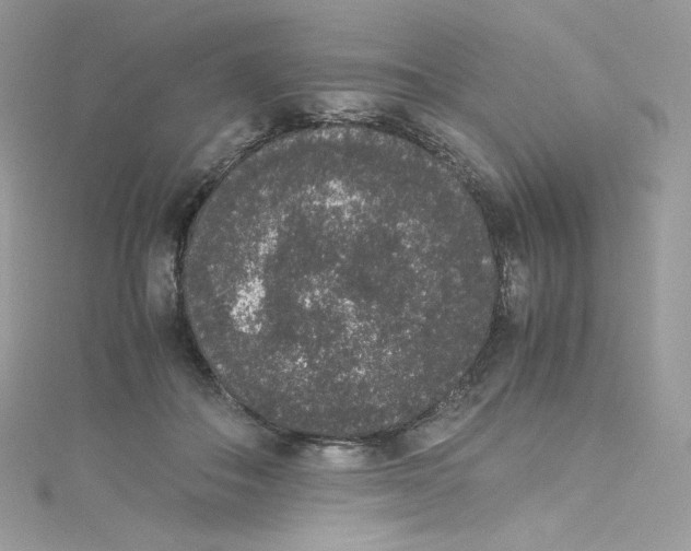 X0000114660506200911171113