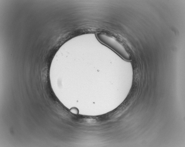 X0000114660509200911171113