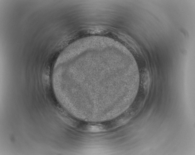 X0000114660510200911171113