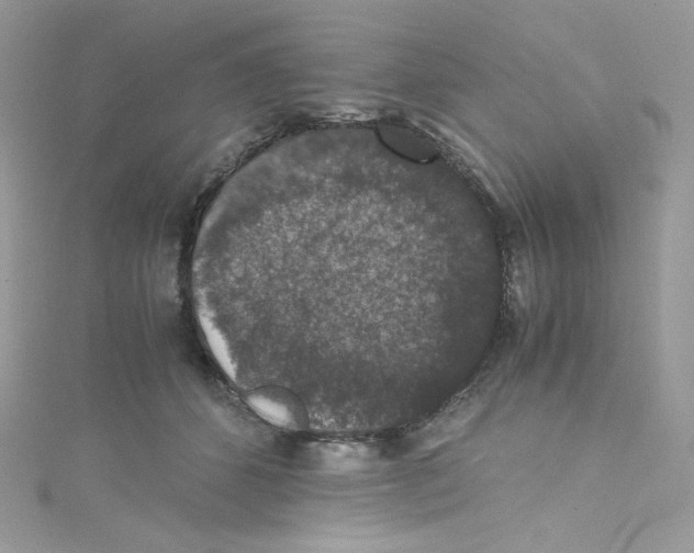 X0000114660512200911171113