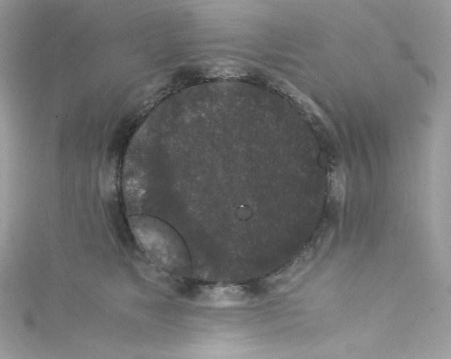 X0000114660517200911171113