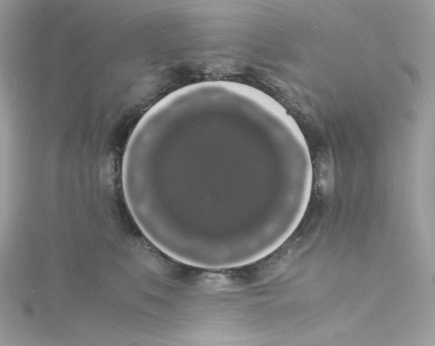 X0000114660519200911171113