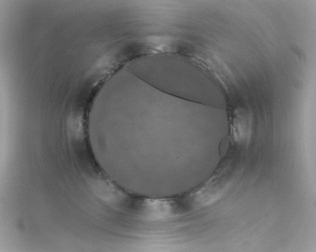 X0000114660520200911171113