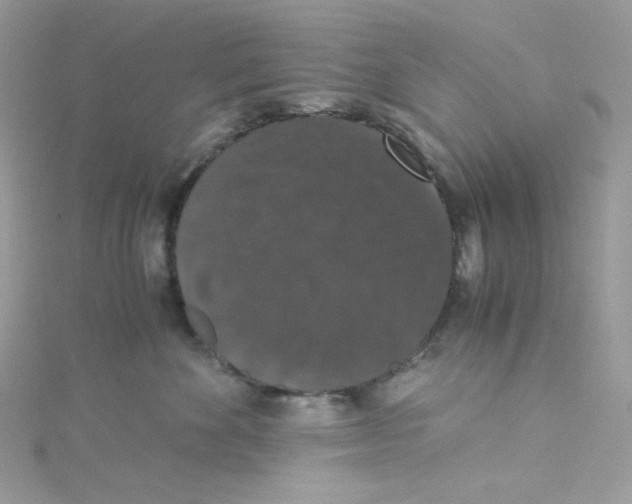 X0000114660524200911171113