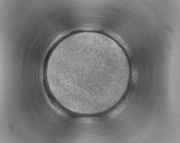 X0000114660530200911171112