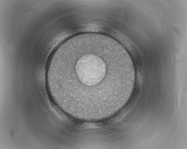 X0000114660534200911171112