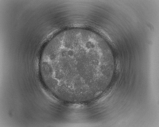 X0000114660542200911171113