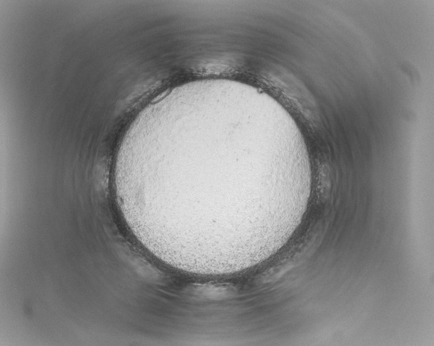 X0000114660545200911171113