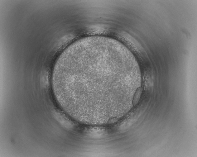 X0000114660546200911171113