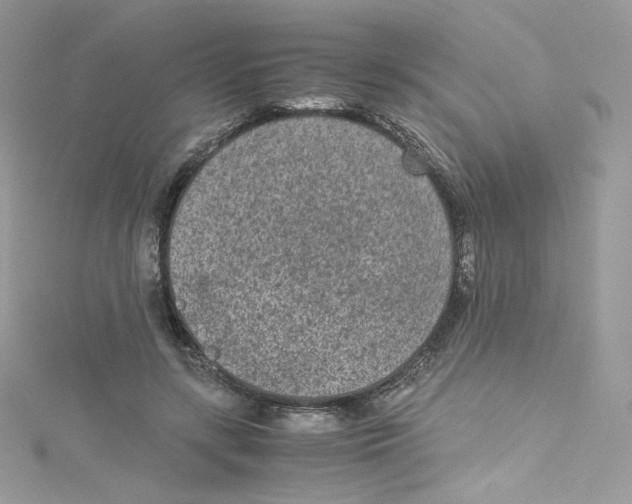 X0000114660547200911171113