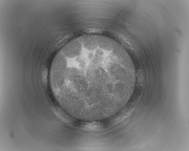 X0000114660550200911171113