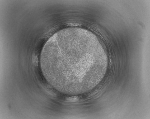 X0000114660551200911171113