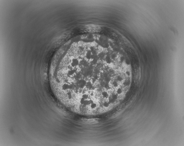 X0000114660553200911171113