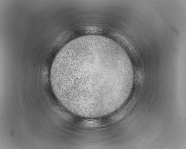 X0000114660557200911171113