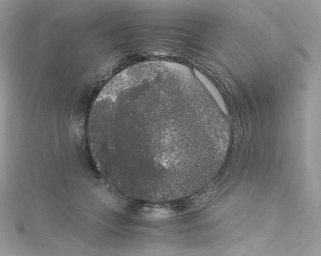 X0000114660559200911171113