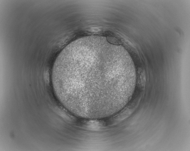 X0000114660562200911171113