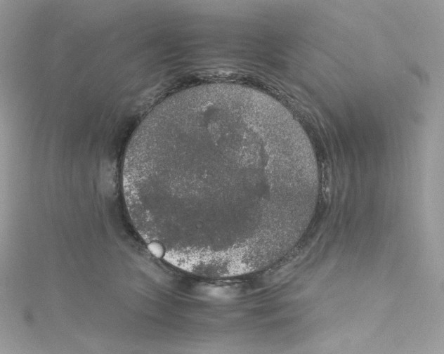 X0000114660563200911171113