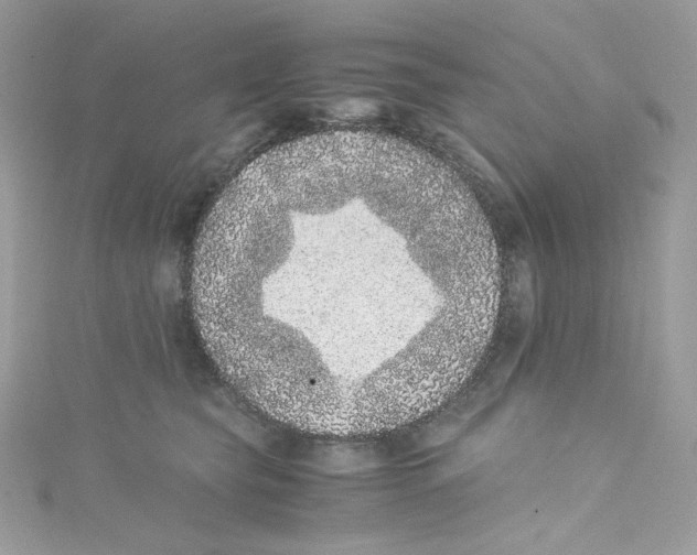 X0000114660565200911171113