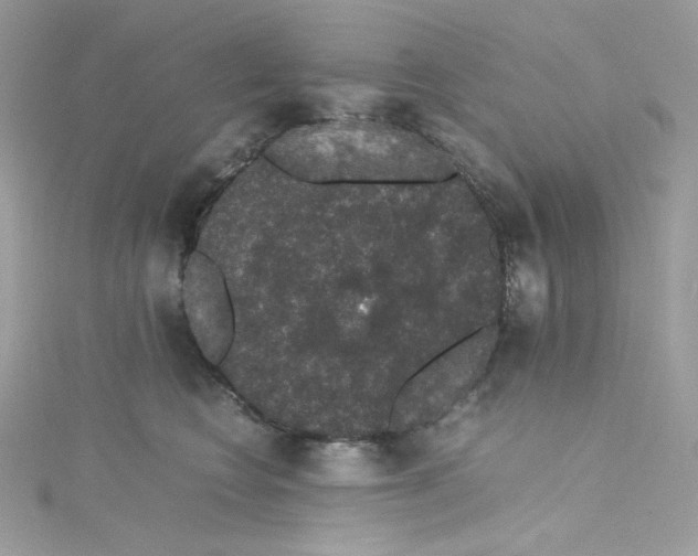 X0000114660566200911171113